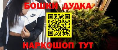 гашик Будённовск