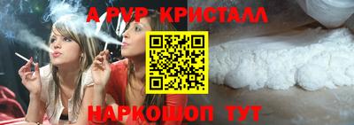 гашик Будённовск