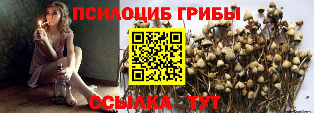 Галлюциногенные грибы MAGIC MUSHROOMS Курчалой